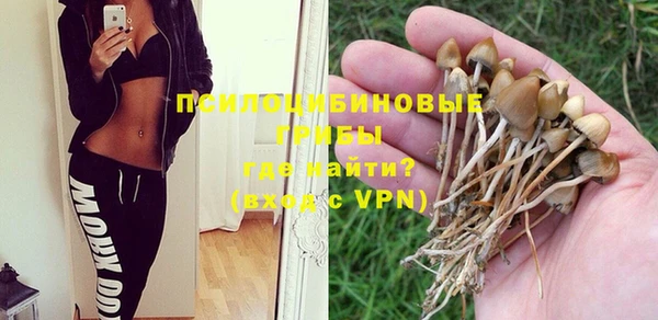 mix Алексин