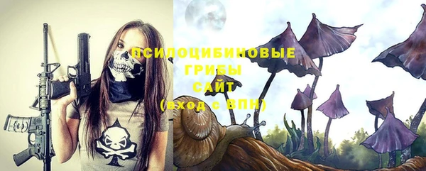 ПСИЛОЦИБИНОВЫЕ ГРИБЫ Абинск