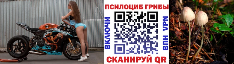 Псилоцибиновые грибы GOLDEN TEACHER продажа наркотиков Нягань